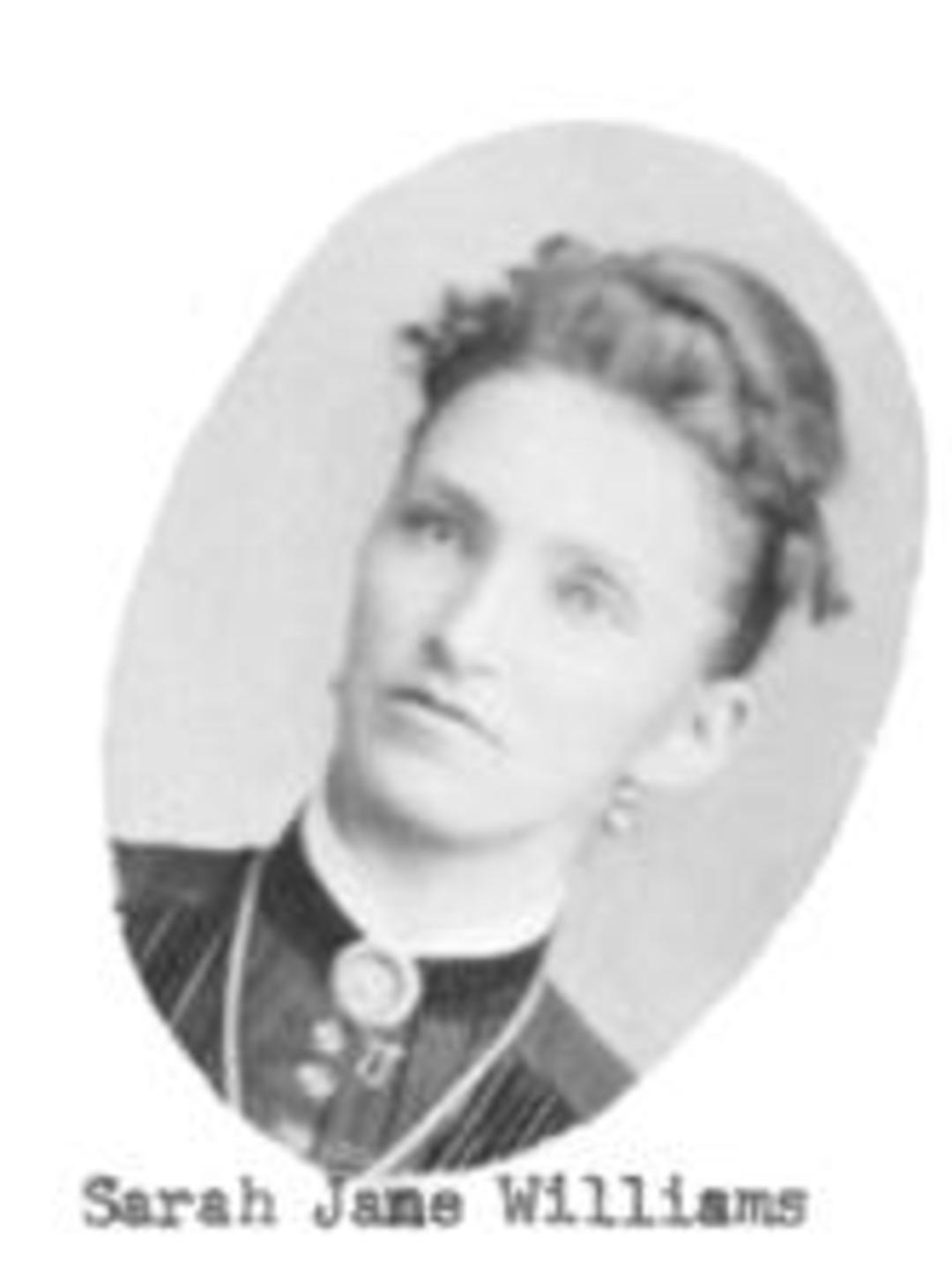Sarah Jane Williams (1854 - 1908) Profile